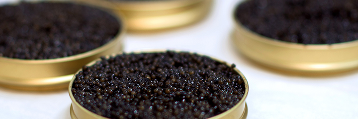 Caviar with Collagen Facial